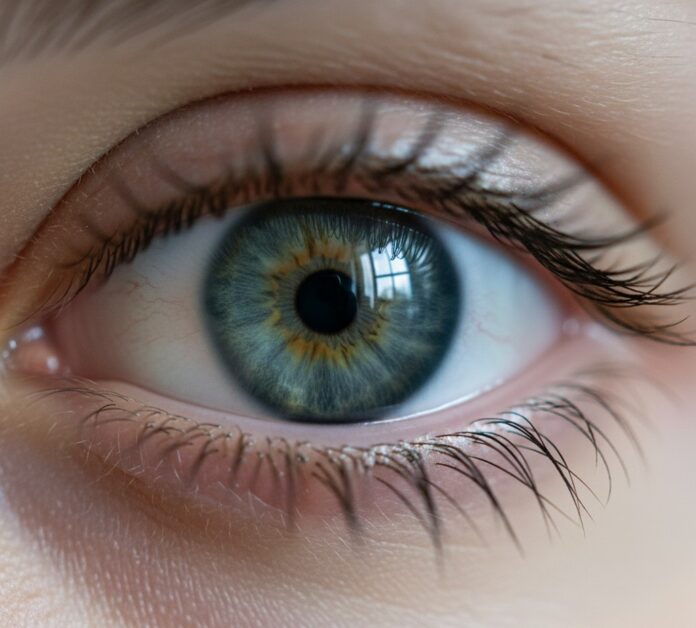 Ultimate Guide to Eye Health and Vision Quality Blog Cover Dive into a vibrant guide to eye health and vision quality with this stunning.